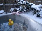Hot Tub at Ann Arbor Bed & Breakfast