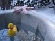 Hot Tub Today!